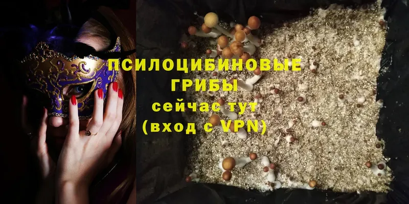 Псилоцибиновые грибы MAGIC MUSHROOMS Артёмовск